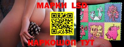 spice Моздок