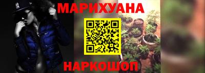 spice Моздок