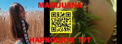 spice Моздок