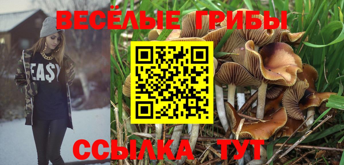 Псилоцибиновые грибы Magic Shrooms Вичуга