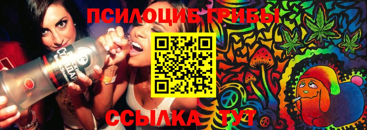 Галлюциногенные грибы MAGIC MUSHROOMS  Вход с VPN  Вичуга 